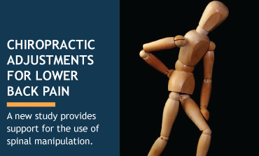 New Study Supports Chiropractic Adjustments as Beneficial for Lower Back Pain