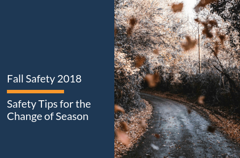 Fall Safety 2018