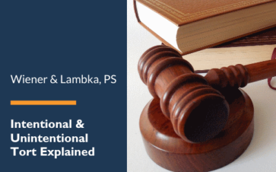 Intentional Tort & Unintentional Torts Explained